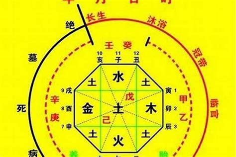 用神 水|八字喜用神到底是什么